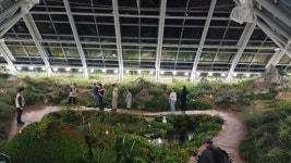 세계 고산·희귀식물 한자리에…백두대간수목원으로 떠나는 여름 여행