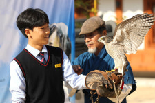 [포토] 매사냥 체험