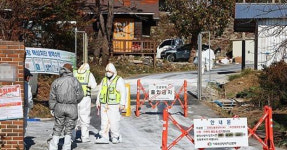 충남 청양군 산란계농장 고병원성 AI 확진… 10만 마리 이상 2번째