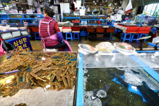 [포토] 썰렁한 수산시장