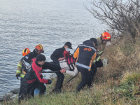 부여소방서, 웅포대교서 추락자 긴급 구조