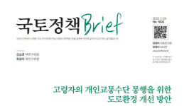 전동 휠체어나 전동스쿠터 형태 고령자 개인교통수단 개발 필요