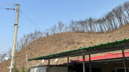 잇단 산불에 대전 산직동 트라우마