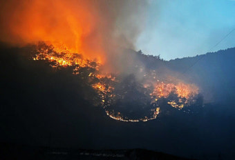 법무부, 안동 산불 확산에 안동교도소 수용자 800여 명 이송