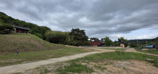 성삼문 오동나무 싹둑, 충남문화재위도 못 막았다