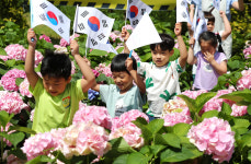 [포토] 꽃과 함께 피어난 나라사랑
