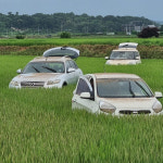 사망자 2명 나온 서산 청지천, 침수 우려에도 왜 차단 안했나