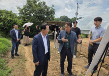 충남감사위, 시군 주민숙원사업 손본다