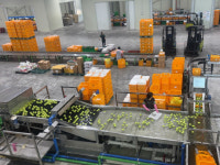 보은 과수거점산지유통센터 APC 경영평가 전국 5위