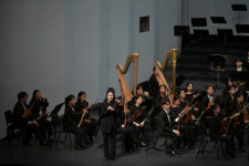 [대일응접실] 손끝에서 피어난 선율… 한평생 음악과 불멸의 사랑