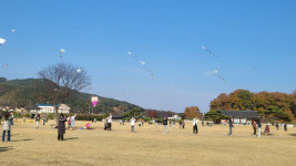 서산 해미읍성 수놓을 연날리기 대회 22일 개최 2026년 희망 띄운다