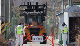 충남 아산 육용종계 농장서 고병원성 AI 발생