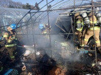 대전 토마토 농장서 화재…인명피해 없어