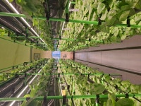 영동청년농업인 청년창업 꿈 현실로