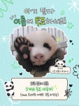 푸바오 동생 '넷째 바오' 이름은… '쥬·쥰·린·유·슈바오' 5파전