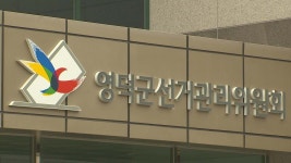 자서전 무상배부 영덕 군수 선거 입후보 예정자 고발