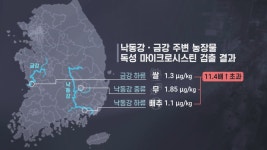 [들어보니] 밥상까지 위협하는 녹조···강물이 흘러야 사람도 산다