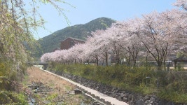 대구·경북 낮 최고 18~24도···주말도 맑고 화창한 날씨