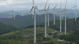 [들어보니] 일방통행 신재생에너지 발전사업 | 빅벙커