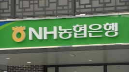 농협은행 금융사고, 경북 3위