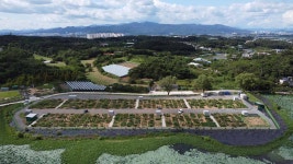 경산시, 도시농업 공영농장 분양