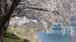 35.2km 성주호 둘레길 10년 만에 완공