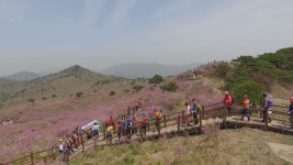 [심층] 대구 오는 대구FC 원정 팬, 평균 3,100여 명···대구의 문화·관광 산업 전략 방향은?