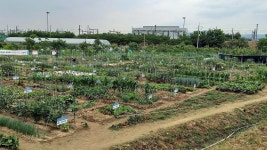대구 수성구, 도심 속 공영 농장 분양