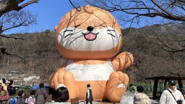 대구 달서구, 3월 23일부터 달서 생태 녹색관광 사업 시행