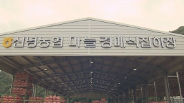 [심층] 경북 영천시 신녕면에 들어선 큰 건물의 정체는?···건물 안에 산더미처럼 쌓여 있는 마늘들