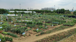 대구 수성구, 2월 17일까지 공영 도시 농장 분양