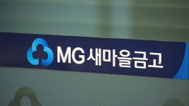 새마을금고 불법 대출 시행사 금고 직원에게 송금 안 해 조합을 끌어들인 게 아니라 조합이 직접 요청해서 사업 수행했다