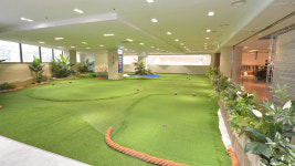 대백프라자, 스크린 파크골프 확장 오픈