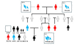 경북 경산시 압독국, 족내혼 구조···가족 순장도 DNA로 확인