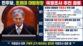 민주당 