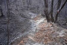 근교산&그너머 <1265> 울산 울주 송곳산~오두산