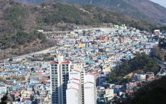 근교산&그너머  부산 서구 천마산 둘레길