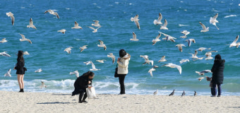 부울경 대체로 맑고 일교차 커… 낮 최고기온 부산 17도