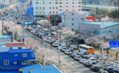 [뭐라노] ‘동부산 정체’ 이유 있었다