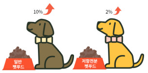 옥수수 전분 먹이 섭취하면 “반려견 비만 걱정 끝”
