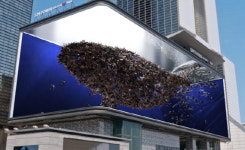 도심에 고래가 나타났다 강남 한복판서 부산엑스포 홍보