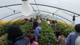 ‘귀농·귀촌의 꿈’ 경남귀농사관학교가 돕는다