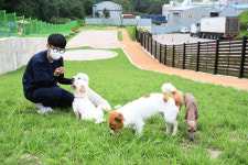 해운대구, 반려동물 시설·정책 잇단 도입 눈길