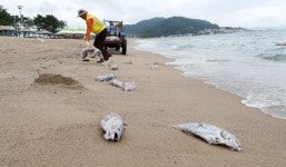 수산강국으로 가는 길 <5> 갖은 규제에 범법자 몰린 어민