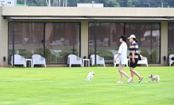 목줄 없는 세상에서 맘껏 뛰어놀렴…여기가 바로 #댕댕이천국