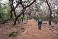 근교산&그너머 <1297> 경주남산 문화재답사 산행
