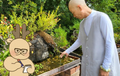 [와이라노]공작새 5총사가 은진사에 사는 이유
