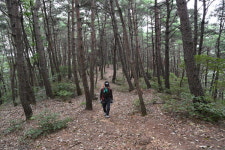 근교산&그너머 <1299> 산청 보암산~수리봉