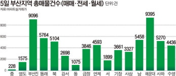 대단지 동시다발 입주하자 부산진구 ‘매물 폭탄’ 비명