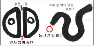 [박기철의 낱말로 푸는 인문생태학] 선구와 원구 ; 하등 동물